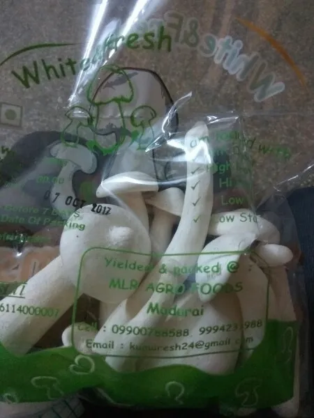 Milky Mushroom