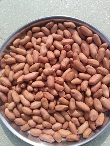 Bold Peanuts 38 42