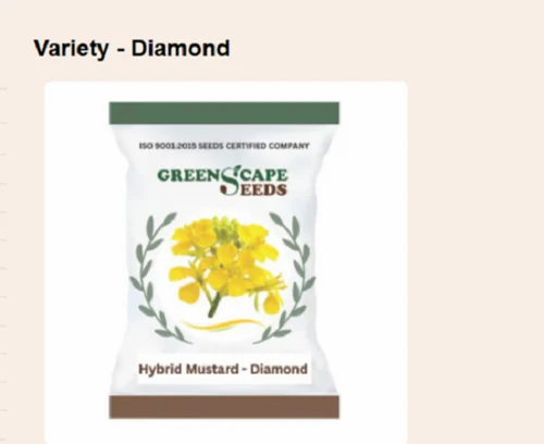 Mustard Seeds Diamond, Brown, Bold