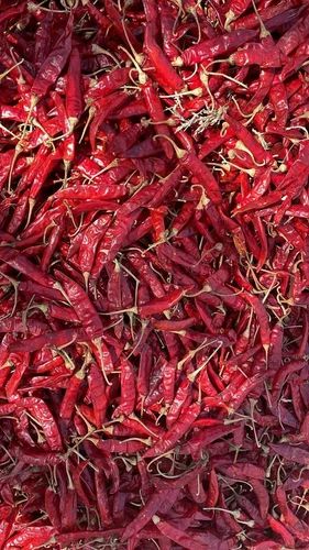 Dry Red Chilli, Packaging Size: 50 kg