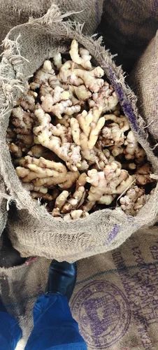 Organic Ginger