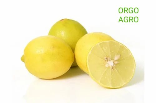 Tamil Nadu Organic Lemon, Packaging Size: 40 Bags Net Bags
