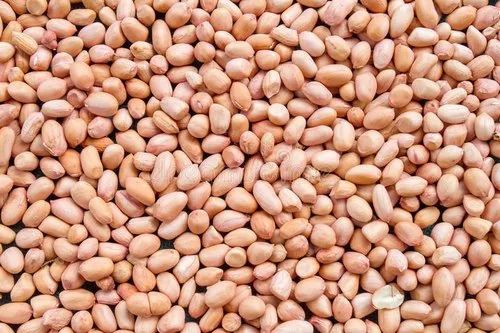Bold Peanuts Edible Quality, Packaging Size: 20kgs/25kgs/50kgs