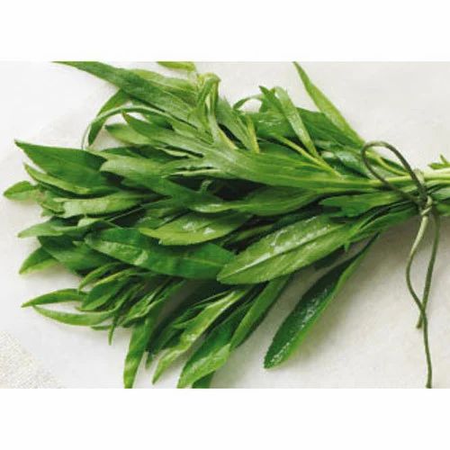 Tarragon