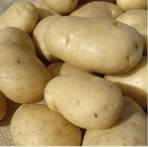 Fry Sona Potato, Packaging Type: Jute Bag, Packaging Size: 50 kg