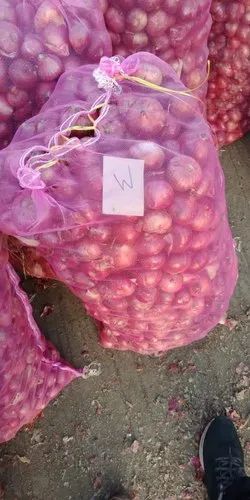 A Grade Maharashtra Onion, Packaging Size: 50 Kg, Onion Size Available: Medium