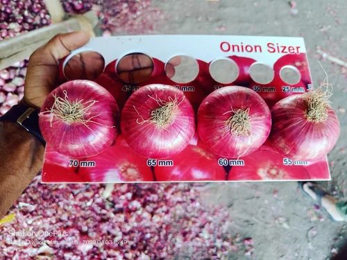 Dubai Quality Onions, 20 Kg, Onion Size: 60 mm