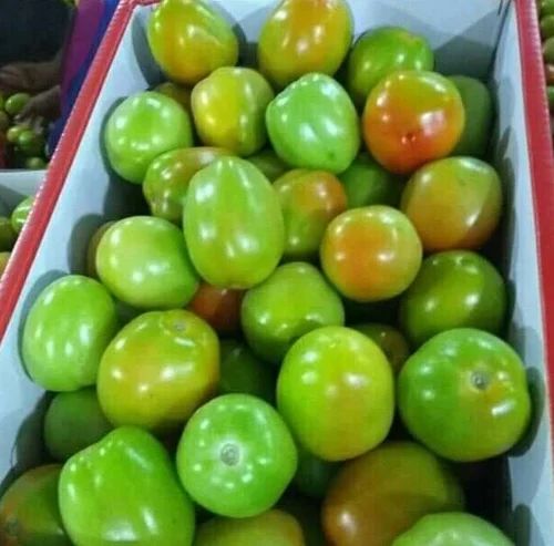 Fresh Green Tomato