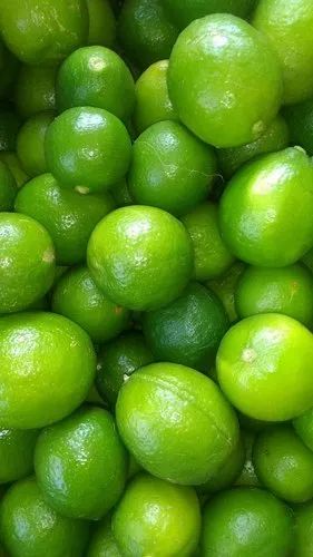 A Grade Export Quality Green Lemon, Packaging Size: 10 Kg, Packaging Type: Gunny Bag