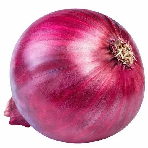 Red Onion Onions, 45-55mm, 50 kg