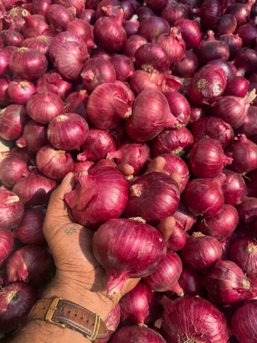 Natural Fresh Onion, 50 Kg, Onion Size: 40 mm