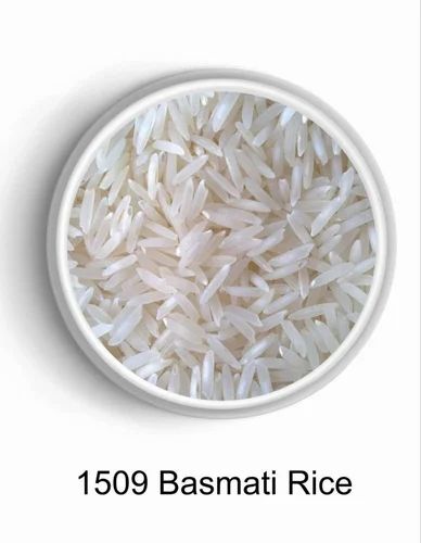 1509 Basmati Rice
