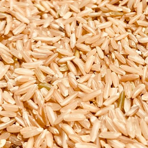 BPT Paddy Rice