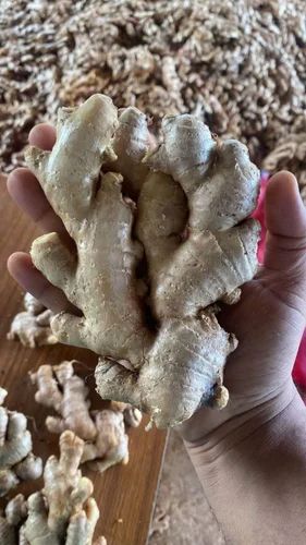 Pan India Organic Fresh Gingers, Natural, Packaging Size: 50Kg