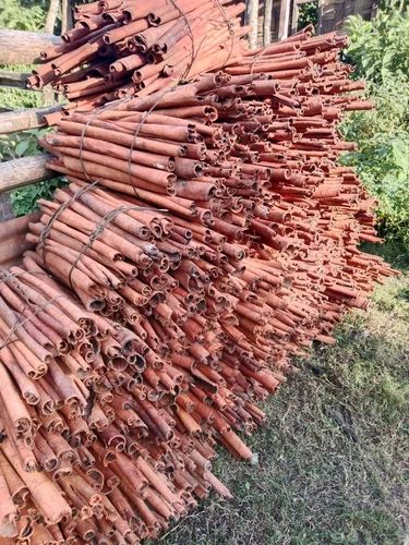 Amatya Group Yellow Organic Cinnamon Stick, Packaging Size: 200g