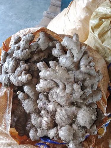 Organic Fresh Ginger