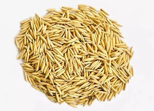 Pusa Basmati Paddy, Pure Basmati Seeds