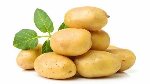 Fc5 Potato, 50 Kg Bag