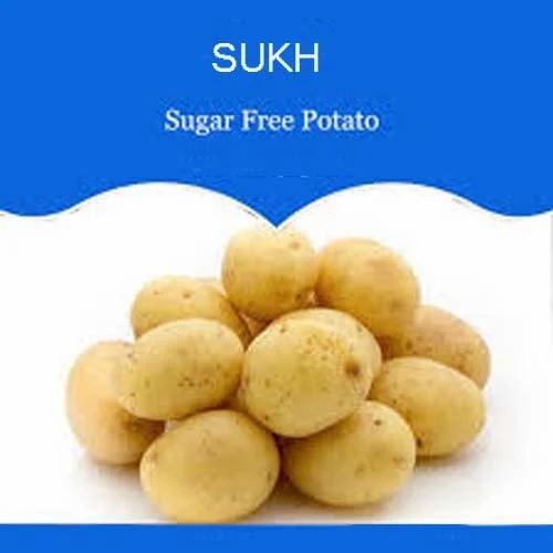 Fresh Potato