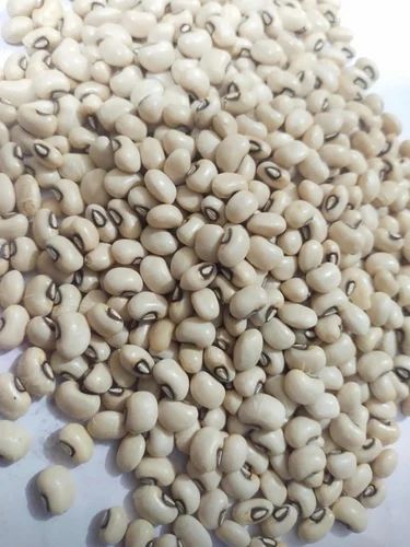 Black Eye Beans, Lobia