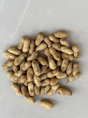 Bold Raw Peanut Kernel