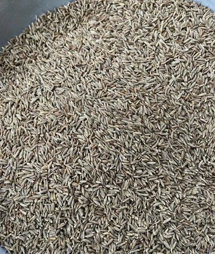 Extra Bold Cumin Seed, Packaging Type: Loose, 25 Kg