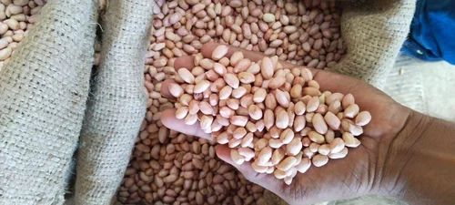 Java Peanut, 25 Kg