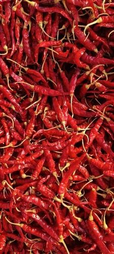 S18 Armor Chili