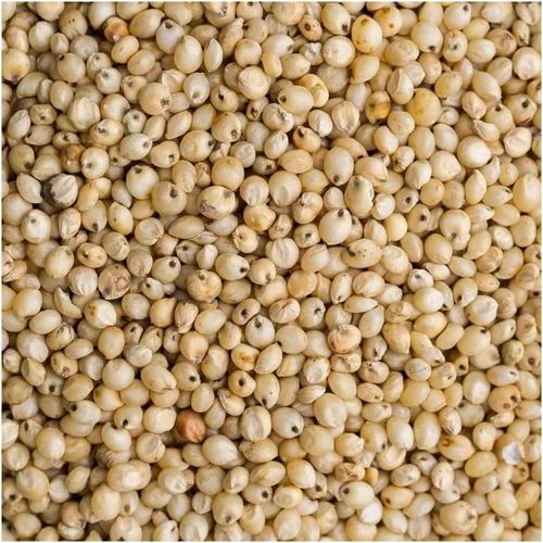 Brown Loose Desi Sorghum