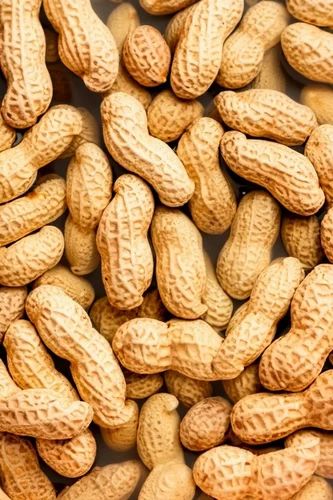G20 Loose Fresh Peanuts