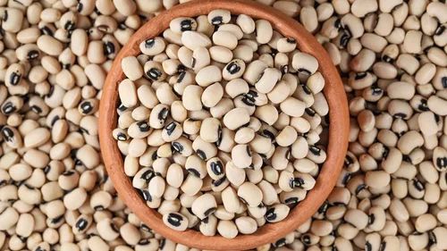 Black Eye Beans - Medium Size, Fully Polished, Conventional Origin from India