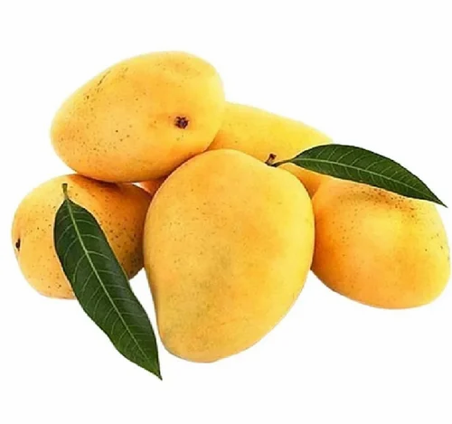A Grade Fresh Alphonso Mango