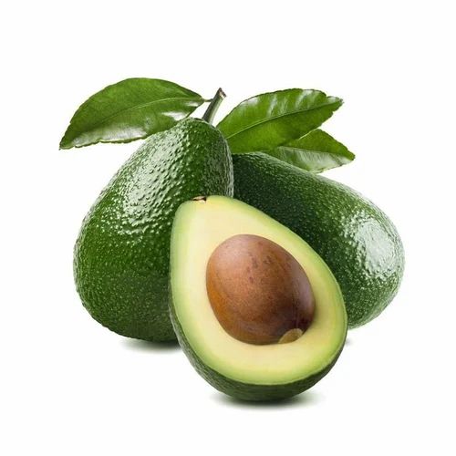 Fresh A Grade Indian Avocado