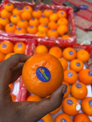 Fresh Mandarin Orange