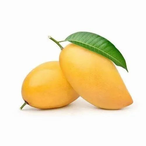 FRESH DUSSEHRI MANGO