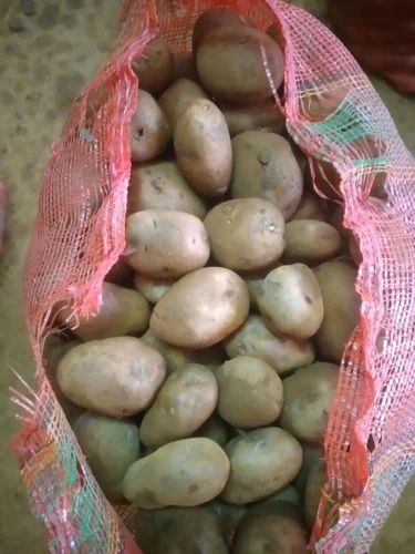 Indore Chipsona Potatoes, 70kgs
