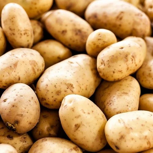 White Fresh Potato, 50 kg, For Processing