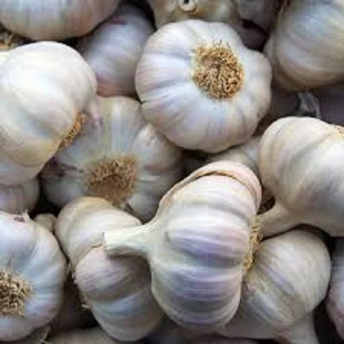 Fresh Organic Garlic