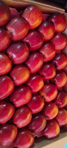 A Grade Kinnaur Apple, Packaging Size: 10 Kg