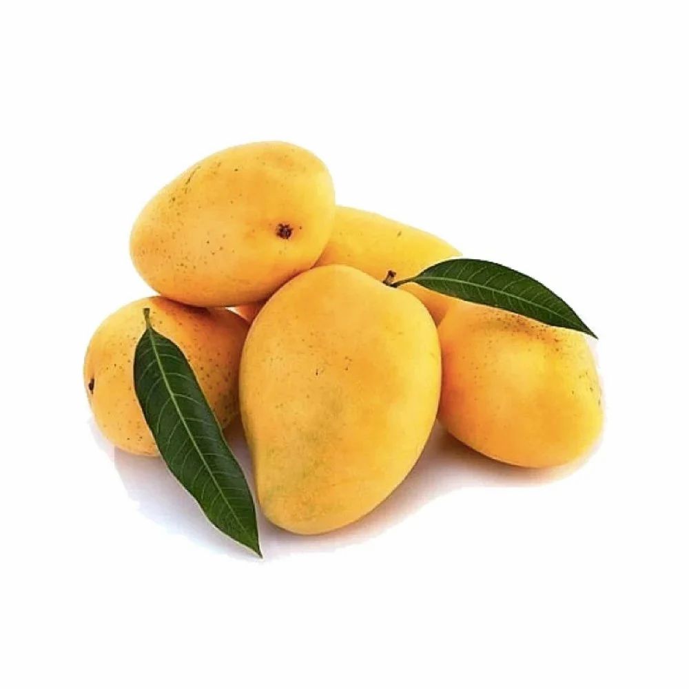 Fresh Mango Chausa