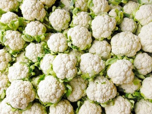 Fresh White Organic Cauliflower