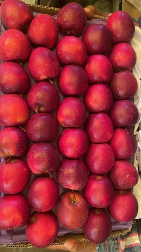 A Grade Red Kashmiri Apple, Packaging Size: 10 Kg
