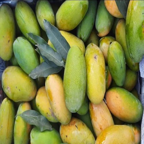 Fresh Dasheri Mango