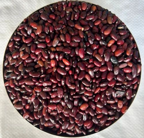 Kidney Beans Rajma, 50 Kg
