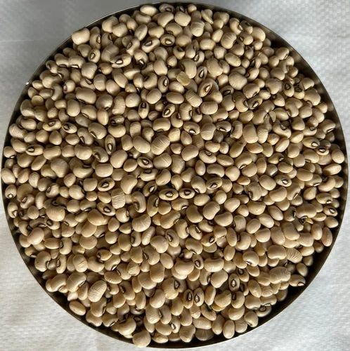 White Lobia Dal