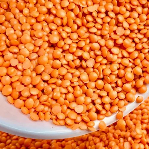 Red Lentil (Masoor Gota), Mahadev Overseas