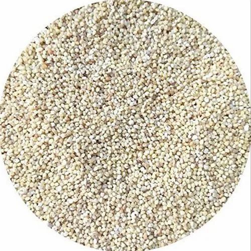 Natural 25Kg Barnyard Millets / Kuthiravali Rice, Unpolished