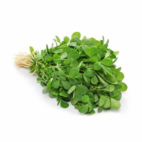 100 Gram/ Pack Fenugreek Leaves (Kasoori Methi)