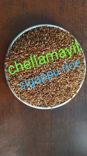 Indian Sigappu Kavuni Rice, Gluten Free