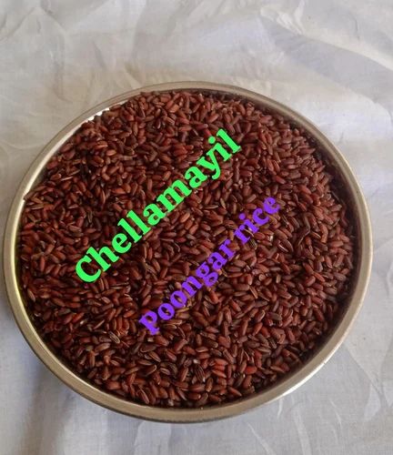 Golden Poongar Rice, PP Bag, 50 Kg